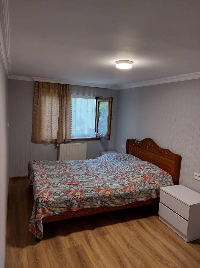 Davids Entire Place Borzsomi Kültér fotó